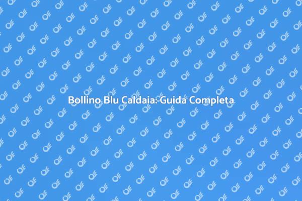 Importanza del Bollino Blu per la Caldaia