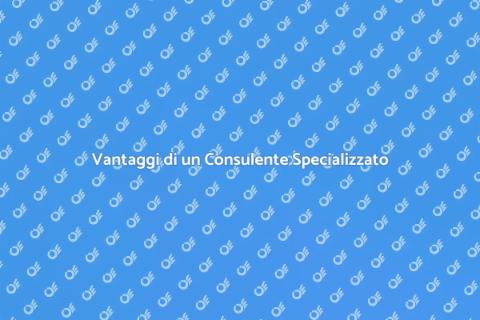 Supporto di un Consulente Esperto