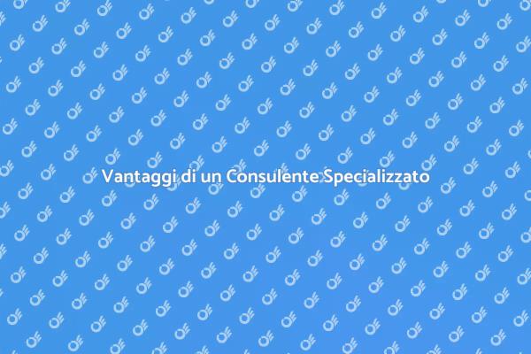 Perché Scegliere un Consulente Esperto?