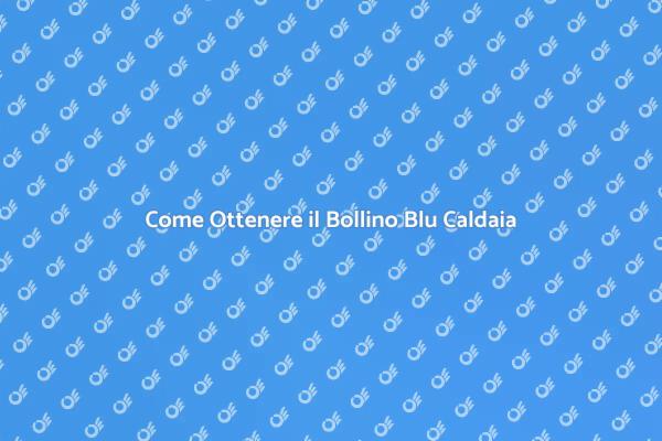 Guida al Bollino Blu della Caldaia