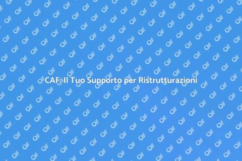 CAF: Servizi per Ristrutturazioni e Giardinaggio