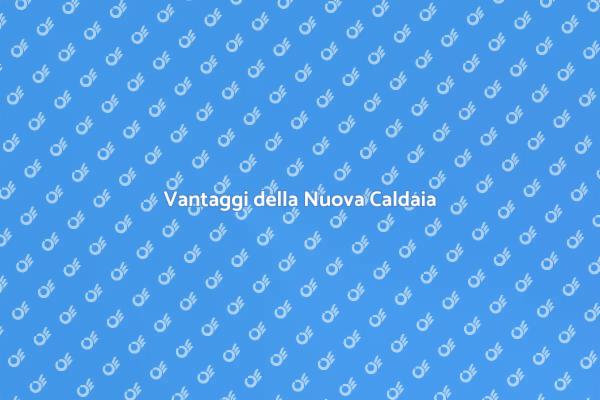 Calore e Risparmio: Nuova Caldaia