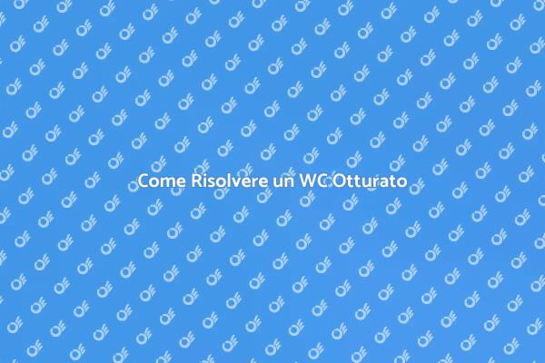 Sblocca il Tuo WC Senza Stress