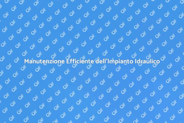 Guida alla Manutenzione Idraulica Domestica