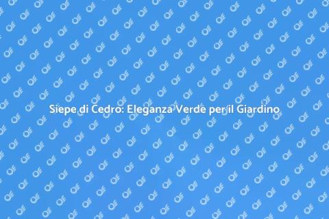 Siepe di Cedro: Abbellisci il Giardino