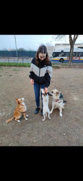 Dog/cat/pet sitter a Torino - Foto 5