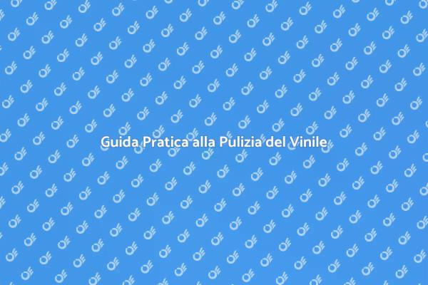 Come Pulire Facilmente un Tappeto in Vinile