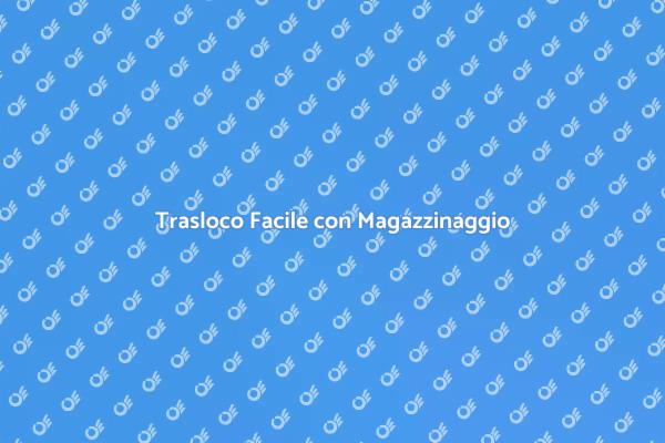 Semplifica il Tuo Trasloco con Magazzinaggio