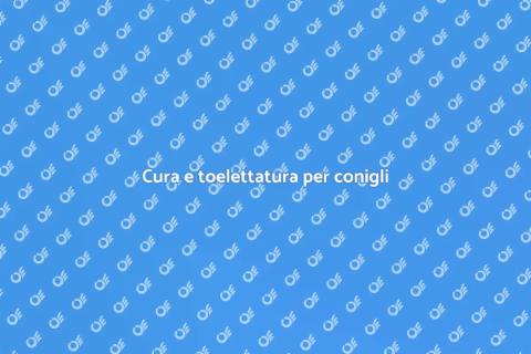 Toelettatura per conigli e piccoli animali