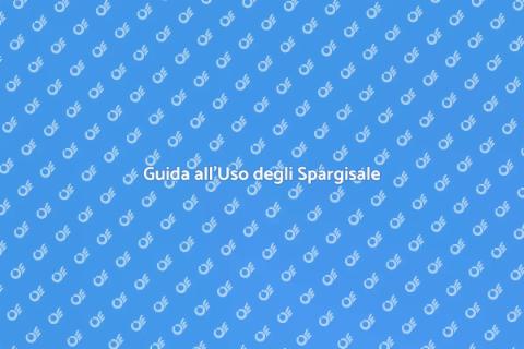 Uso Efficace degli Spargisale