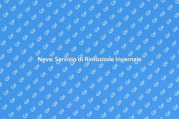 Rimozione Neve: Sicurezza Invernale
