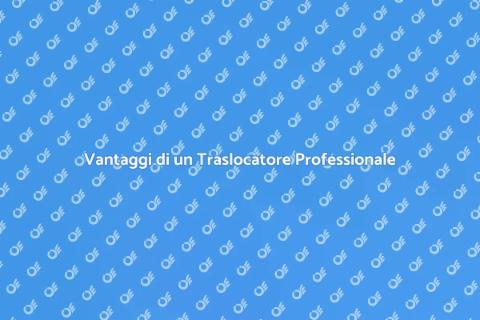 Assumere un Traslocatore Professionale