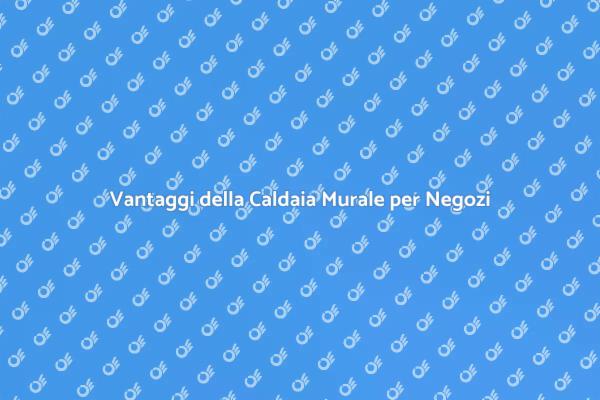 Caldaia Murale: Scelta per il Negozio