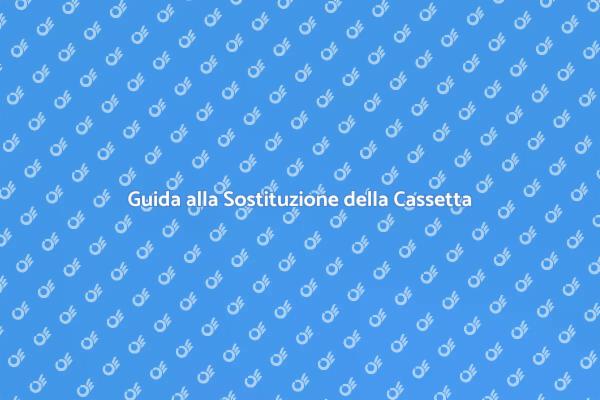 Come Sostituire la Cassetta di Scarico
