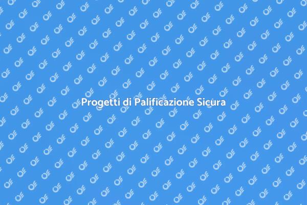 Stabilità con la Palificazione
