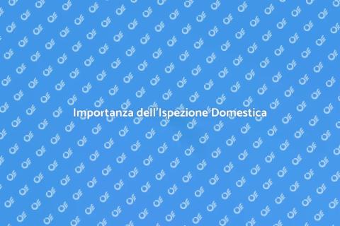 Ispezione Domestica: Sicurezza Casa