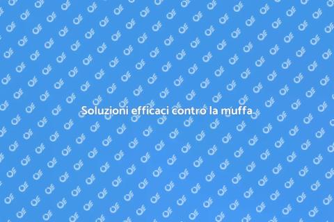 Muffa: Protezione duratura per casa