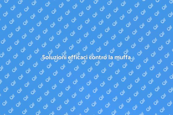 La tua casa, sana e senza muffa