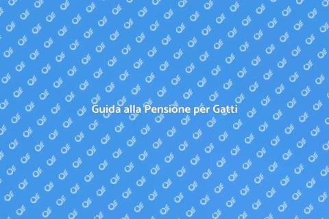 Portare un Gatto in Pensione