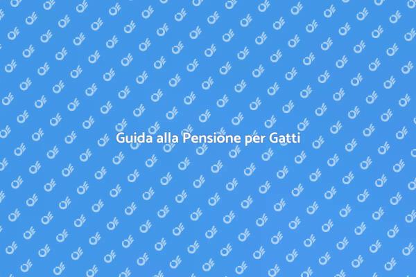 Consigli per Portare un Gatto in Pensione