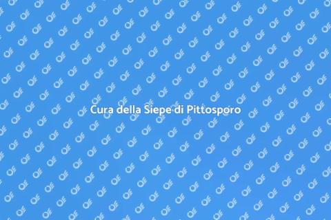 Mantenere una Siepe di Pittosporo