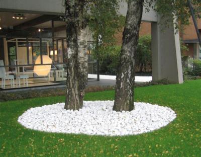 Perrone Caterina Sas - Foto 5