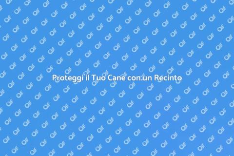 Recinto per Cani Antiscasso Sicuro