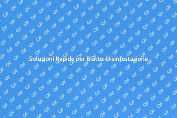 Liberati dalle Blatte in Pochi Passi