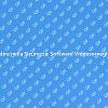 Sicurezza Efficace con Software Manutenzione