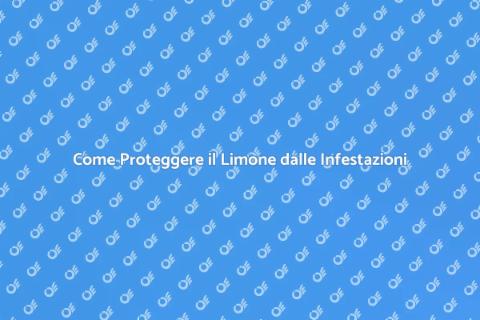 Prevenire Infestazioni del Limone