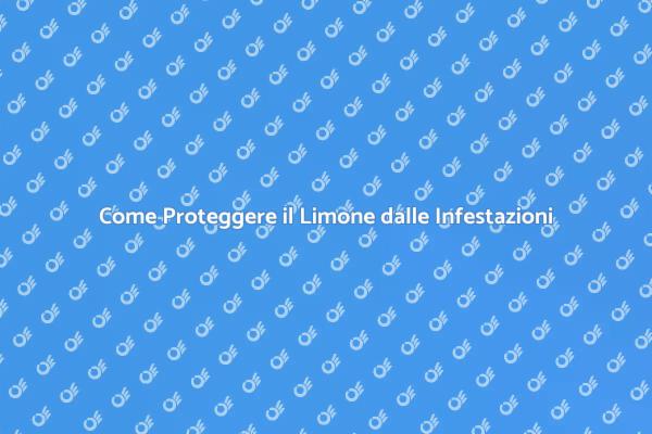 Limone: Prevenzione dalle Infestazioni