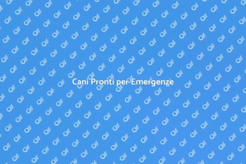Allenamento Cani per Emergenze