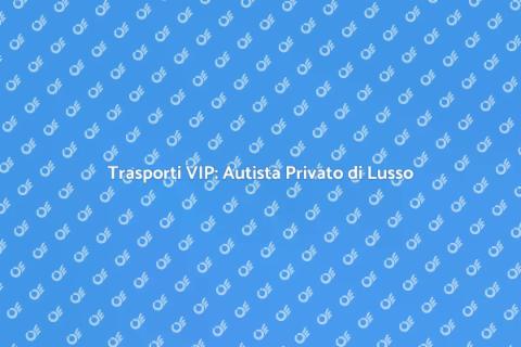 Autista Privato per Trasporti VIP