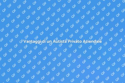 Autista Privato per Trasporti Aziendali