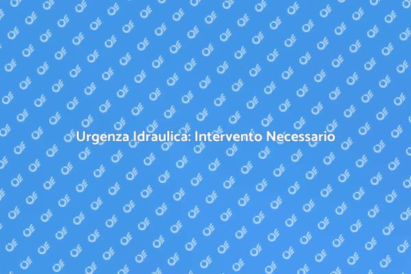 Servizio Idraulico per Emergenze