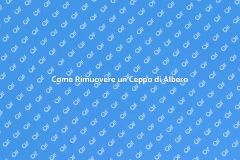 Rimozione Ceppo Albero: Guida Completa