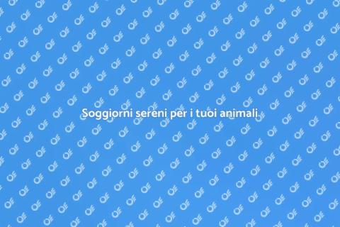 Pensione per animali domestici sicura