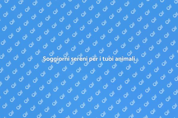 Pensione sicura per i tuoi amici a quattro zampe