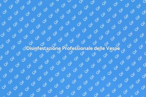 Disinfestare le Vespe in Sicurezza