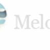 Melonart Resine 
