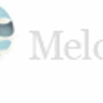 Melonart Resine