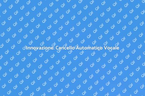 Cancello Automatico con Controllo Vocale