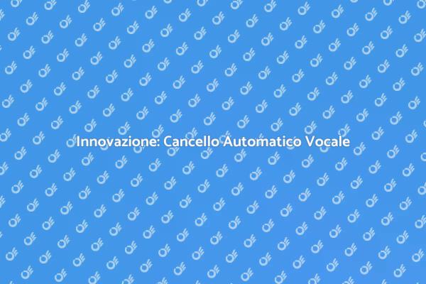 Cancello Automatico: Comodità e Sicurezza