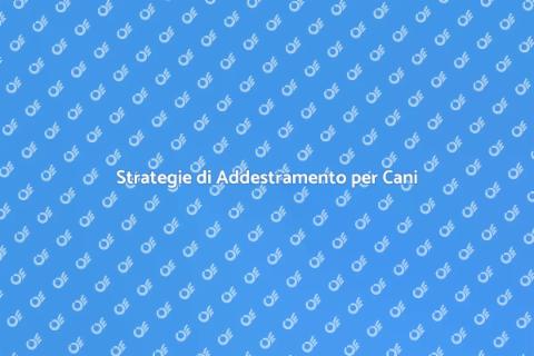 Addestramento Cani con Problemi Alimentari