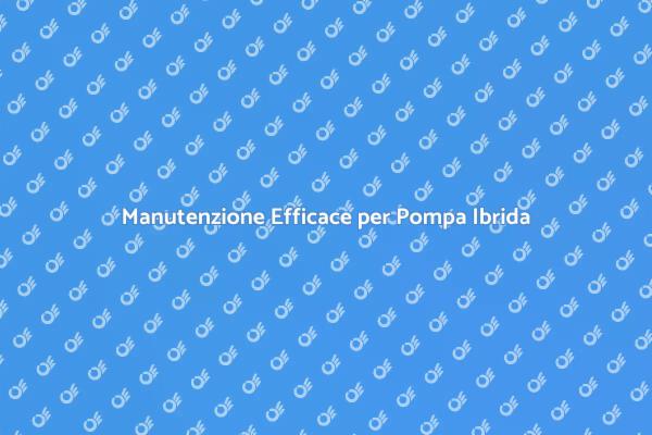 Guida alla Manutenzione della Pompa Ibrida