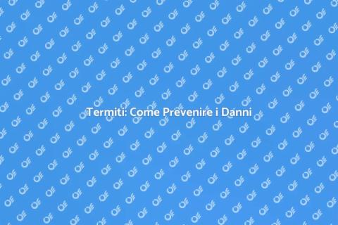 Controllo Danni Termiti: Rischi Nascosti