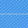 Come Realizzare un Pergolato Attaccato