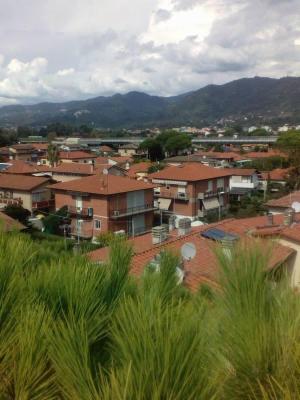 Il Pinolo Giardinaggio  - Foto 5