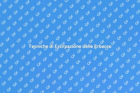 Estirpazione delle Erbacce nel Giardino