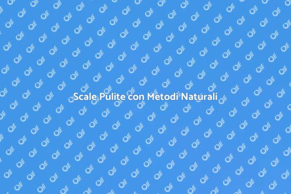 Mantenere Scale Pulite e Sostenibili